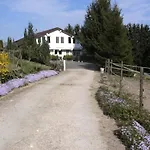 Trapp-mayer Im Ersten Og,hunde Willkommen * Bitzenhofen
