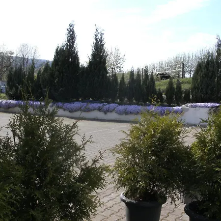 Trapp-mayer Im Ersten Og,hunde Willkommen *