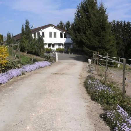 Trapp-mayer Im Ersten Og,hunde Willkommen * Bitzenhofen